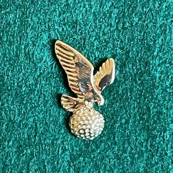 Flying Eagle Pin