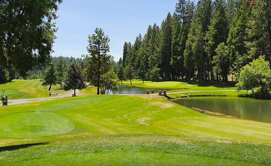 sequoia woods country club